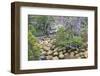 Magellanic Lenga (Nothofagus Pumilio) Forest and Swamp, Torres Del Paine National Park, Patagonia-Eleanor Scriven-Framed Photographic Print