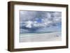 Magellanic Penguin at beach, Falkland Islands.-Martin Zwick-Framed Photographic Print