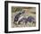 Magellanic Penguin at burrow with half grown chicks. Falkland Islands-Martin Zwick-Framed Photographic Print