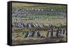 Magellanic penguin (Spheniscus magellanicus) colony, Carcass Island, West Falklands, Falkland Islan-Michael Runkel-Framed Stretched Canvas