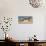 Magellanic Penguins, Park Valdes, Argentina-Peter Groenendijk-Photographic Print displayed on a wall