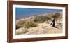 Magellanic Penguins, Park Valdes, Argentina-Peter Groenendijk-Framed Photographic Print