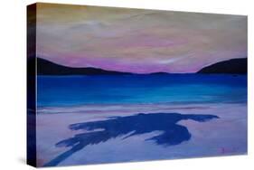 Magen s Bay Caribbean Palm Shadow at Sunset-Markus Bleichner-Stretched Canvas