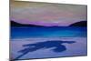 Magen s Bay Caribbean Palm Shadow at Sunset-Markus Bleichner-Mounted Art Print