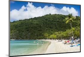Magens Bay beach, St. Thomas, US Virgin islands, West Indies, Caribbean, Central America-Michael Runkel-Mounted Photographic Print