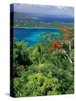 Magens Bay, St. Thomas, Caribbean-Robin Hill-Stretched Canvas