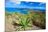 Magens Bay View, St Thomas, USVI-George Oze-Mounted Photographic Print