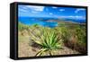 Magens Bay View, St Thomas, USVI-George Oze-Framed Stretched Canvas