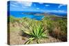 Magens Bay View, St Thomas, USVI-George Oze-Stretched Canvas