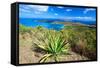 Magens Bay View, St Thomas, USVI-George Oze-Framed Stretched Canvas