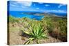 Magens Bay View, St Thomas, USVI-George Oze-Stretched Canvas