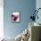 Magenta Abstract II-Sisa Jasper-Framed Stretched Canvas displayed on a wall