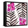 Magenta Black Orchid Bloom Pattern-Cat Coquillette-Framed Stretched Canvas