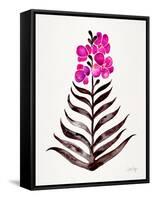 Magenta Black Orchid Bloom-Cat Coquillette-Framed Stretched Canvas