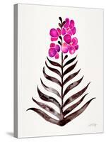 Magenta Black Orchid Bloom-Cat Coquillette-Stretched Canvas