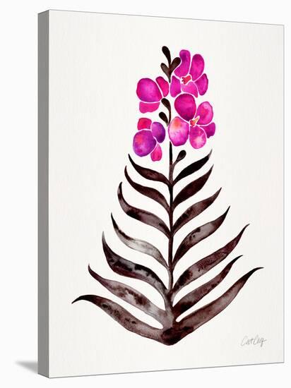 Magenta Black Orchid Bloom-Cat Coquillette-Stretched Canvas