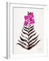 Magenta Black Orchid Bloom-Cat Coquillette-Framed Giclee Print