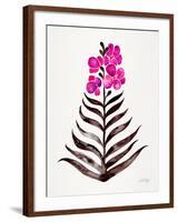 Magenta Black Orchid Bloom-Cat Coquillette-Framed Giclee Print