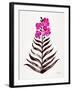 Magenta Black Orchid Bloom-Cat Coquillette-Framed Giclee Print