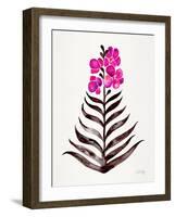 Magenta Black Orchid Bloom-Cat Coquillette-Framed Giclee Print