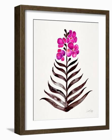 Magenta Black Orchid Bloom-Cat Coquillette-Framed Giclee Print