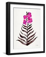 Magenta Black Orchid Bloom-Cat Coquillette-Framed Giclee Print