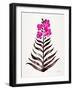 Magenta Black Orchid Bloom-Cat Coquillette-Framed Giclee Print