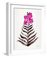 Magenta Black Orchid Bloom-Cat Coquillette-Framed Giclee Print