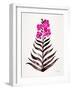 Magenta Black Orchid Bloom-Cat Coquillette-Framed Giclee Print