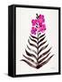 Magenta Black Orchid Bloom-Cat Coquillette-Framed Stretched Canvas