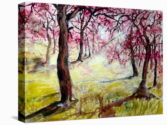 Magenta Blossoms-Mary Smith-Stretched Canvas