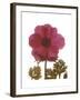 Magenta Magnolia-Albert Koetsier-Framed Premium Giclee Print