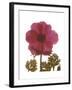 Magenta Magnolia-Albert Koetsier-Framed Premium Giclee Print