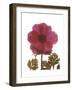 Magenta Magnolia-Albert Koetsier-Framed Premium Giclee Print