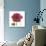 Magenta Magnolia-Albert Koetsier-Premium Giclee Print displayed on a wall