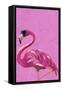 Magenta Metallic Flamingo-Sarah Manovski-Framed Stretched Canvas