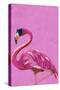 Magenta Metallic Flamingo-Sarah Manovski-Stretched Canvas