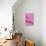 Magenta Metallic Flamingo-Sarah Manovski-Giclee Print displayed on a wall