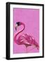 Magenta Metallic Flamingo-Sarah Manovski-Framed Giclee Print