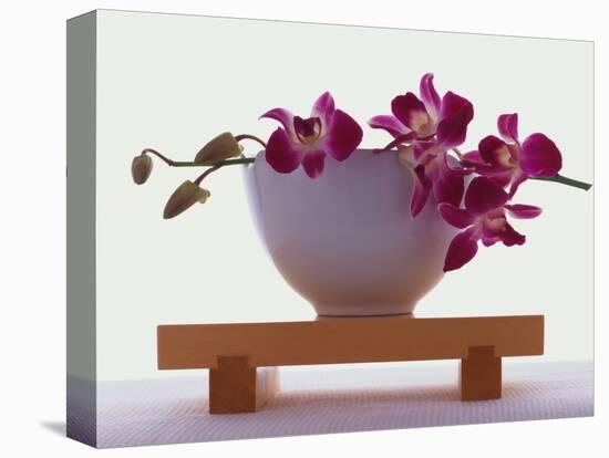 Magenta Orchids in White Bowl-Colin Anderson-Stretched Canvas
