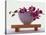 Magenta Orchids in White Bowl-Colin Anderson-Stretched Canvas