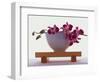 Magenta Orchids in White Bowl-Colin Anderson-Framed Photographic Print