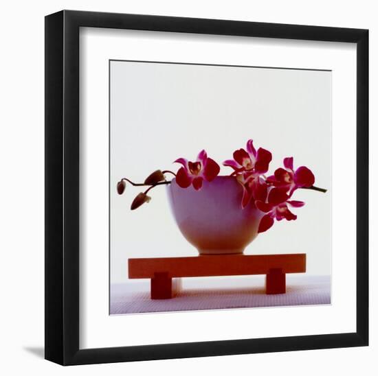 Magenta Orchids-null-Framed Art Print