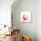 Magenta Tulip C68-Albert Koetsier-Stretched Canvas displayed on a wall