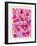 Magenta Wanderlust-Cat Coquillette-Framed Premium Giclee Print