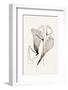 MAGESTIC FLOWERS-Ankie Kooi-Framed Photographic Print