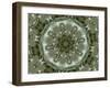 Magesty-Fractalicious-Framed Giclee Print