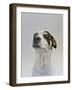 Maggie (2)-James Ruby-Framed Giclee Print