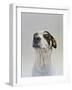 Maggie (2)-James Ruby-Framed Giclee Print