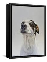 Maggie (2)-James Ruby-Framed Stretched Canvas